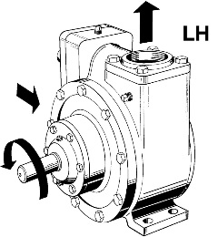 LH_lineart