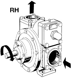 RH_lineart