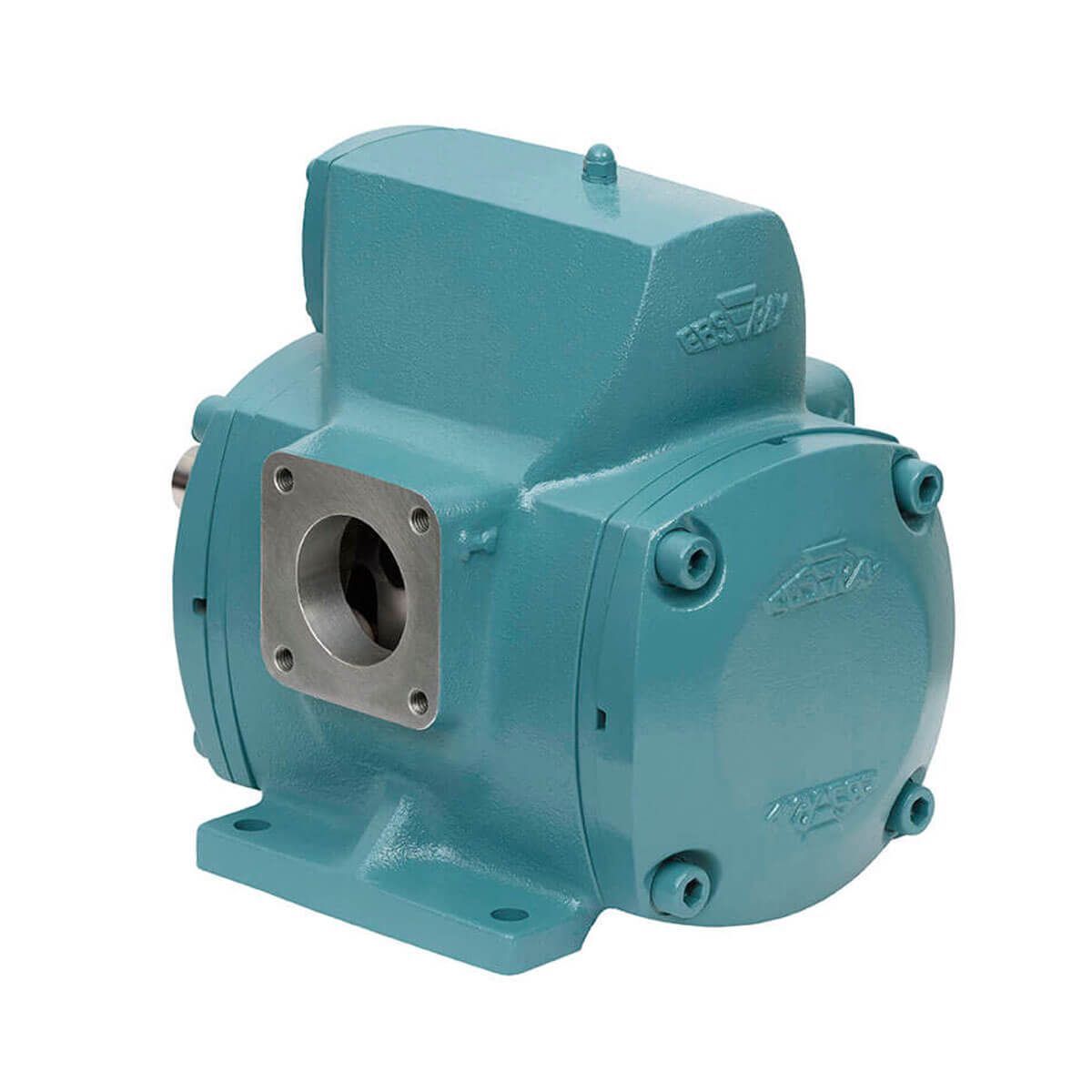 V20 Rotary Vane Pump | Ebsray