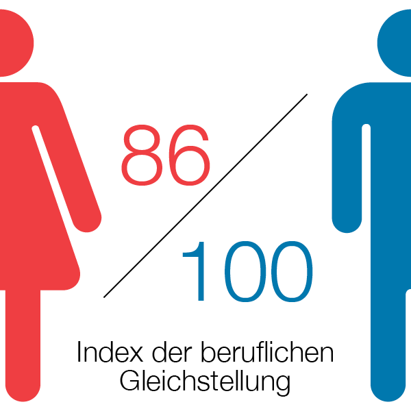 Equality Index Graphic - DE