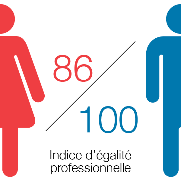 Equality Index Graphic - FR