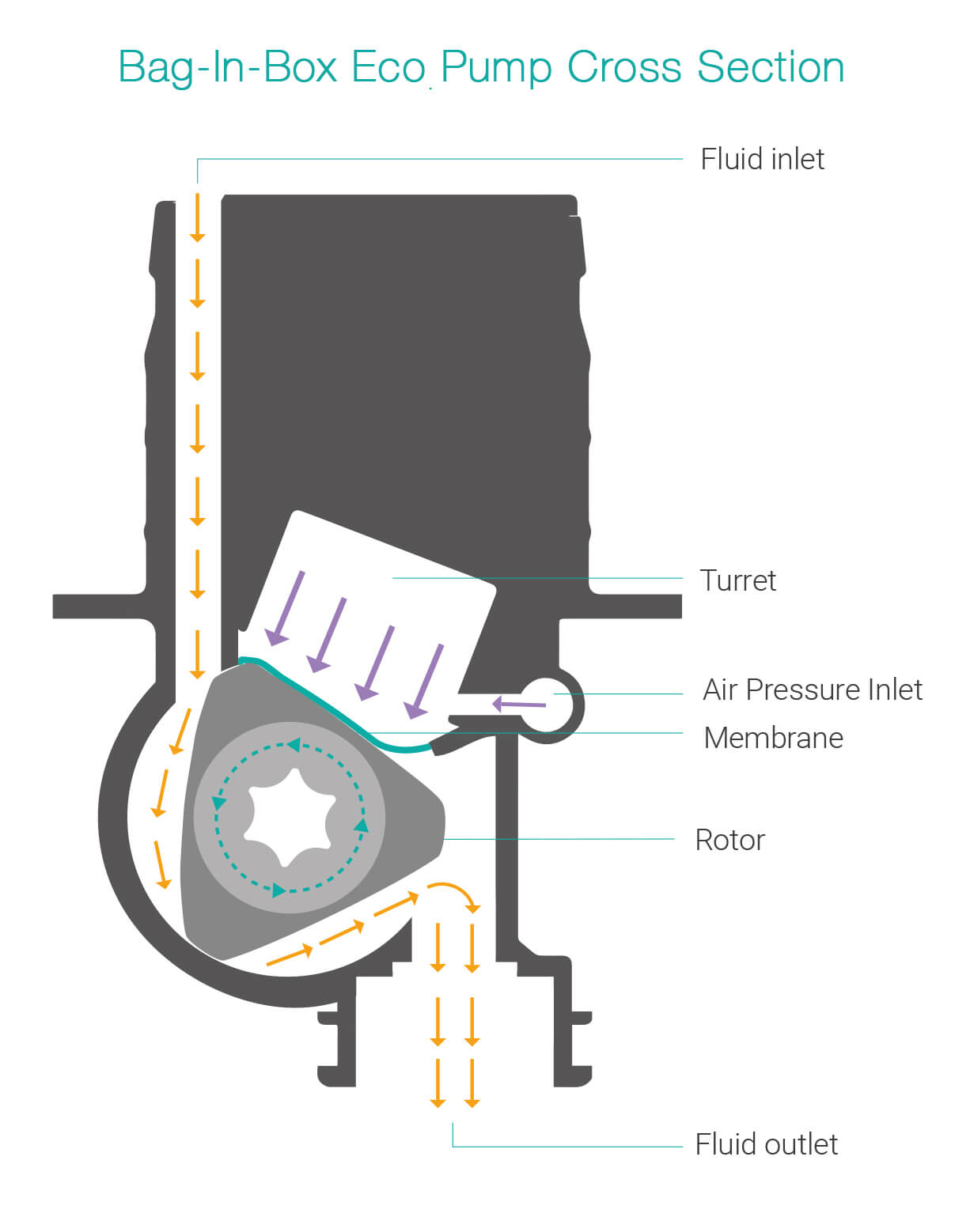 Quantex recyclable pump cross section illustration Eco Pump